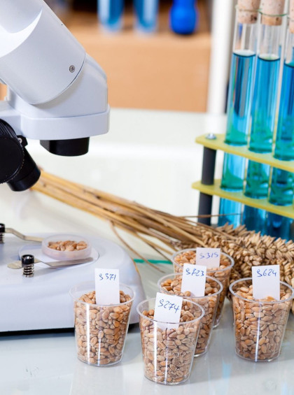 Chemical and Contaminant Residue in Pune | Liquid Fertilizer Testing - Bioscience Biotech Laboratory.