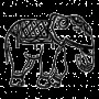 anayadesignerstudio