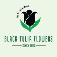 Black Tulip Flower