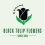 Black Tulip Flower