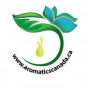 Aromatics Canada