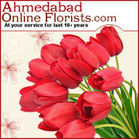 Viratsingh1