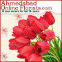 Viratsingh1